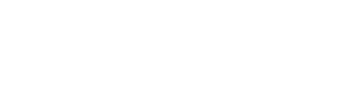 Valtim White Logo